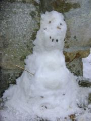 DSC01743.jpg